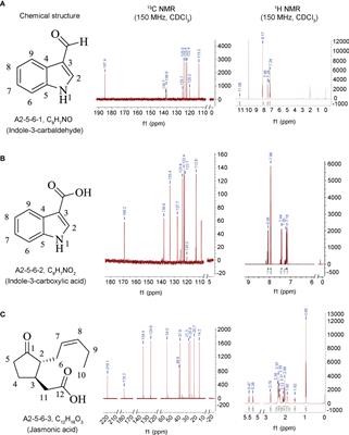 Indole-3-Carboxylic Acid From the Endophytic Fungus Lasiodiplodia pseudotheobromae LPS-1 as a Synergist Enhancing the Antagonism of Jasmonic Acid Against Blumeria graminis on Wheat